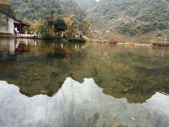 -靖西鹅泉风景区