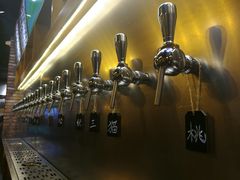 -麦落精酿啤酒餐吧(先农大院店)