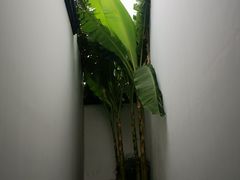 -程十发艺术馆