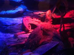 -沈阳海洋探索中心