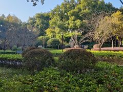 -徐家汇源景区-衡山公园