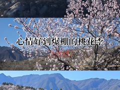 -白水寺森林公园