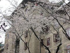 -武汉大学-樱园
