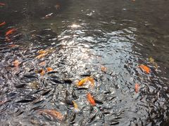 -柳侯公园