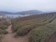 -东钱湖旅游度假区