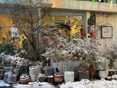 -春树下·树屋花房西餐厅(罍街AS1980店)