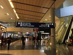 -达拉斯 沃斯堡国际机场