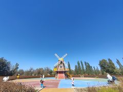 -金塔沙漠胡杨林景区