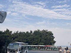 -日照海滨国家森林公园