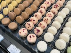 -罗红摄影艺术馆