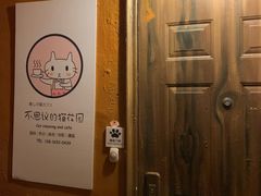 -猫猫幼稚园·撸猫·桌游·电玩