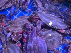 -渔民船说·北塘海鲜·天津菜·海肠捞饭(北塘古镇店)