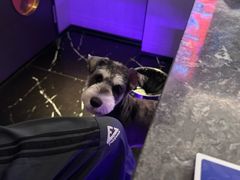 -星聚会KTV(南翔印象城MEGA店)