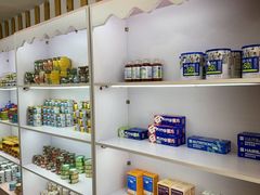 -青奢宠物·青奢猫舍