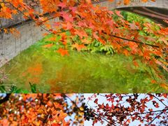 -田野绿世界