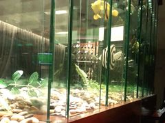 靠窗位-花园咖啡厅(厦门美丽华大酒店)