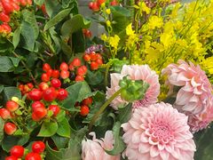 -静岸花卉园艺(三星坊店)