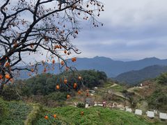 -楠溪江风景名胜区