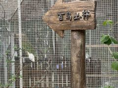 -杭州千岛湖开元度假村