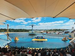 -秦皇岛乐岛海洋王国