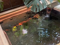 -Tegu泰古莲·泰国餐厅(红山6979店)
