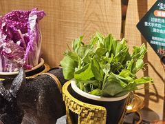 -慢丽江·云南野生菌土鸡锅(西山店)