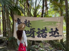 -呀诺达热带雨林