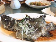 -稻香酒家·35年老字号(侨光店)