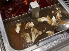 -海底捞火锅(新华联梦想城店)