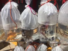 -华声天桥民俗文化园