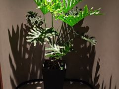 -满堂匠心川宴·私房菜(天府三街店)