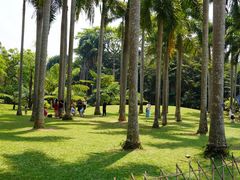 -中国科学院西双版纳热带植物园