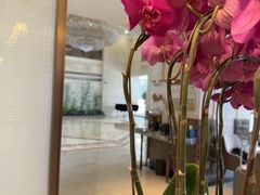 -深圳楚天大酒店(福田口岸深圳会展中心店)