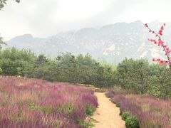 -北京凤凰岭
