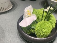 -沈灶河豚宴·河豚融合餐厅(汉中路店)