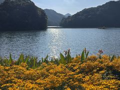 -广州市石门国家森林公园