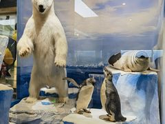 -国家自然博物馆