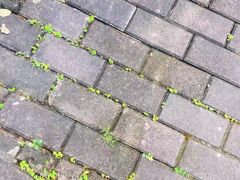 景点-坂田手造文化街