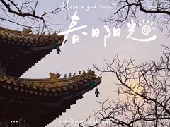 -雍和宫