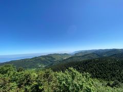 -武陵山森林公园