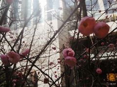 -无锡市市民中心