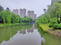 -桐乡植物园