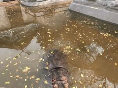 -昆明动物园