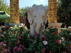 -云南民族大观园