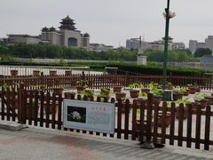 -莲花池公园