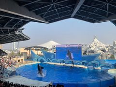 -上海海昌海洋公园