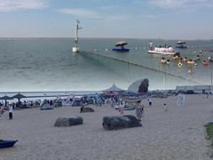 -碧海金沙