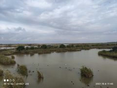 -盐城丹顶鹤湿地生态旅游区