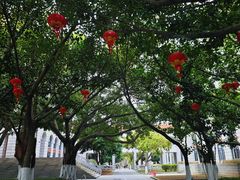 -厦门大学(思明校区)