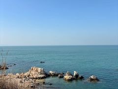 -养马岛旅游度假区